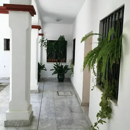 Teodosio Free Parking & Ac Apartment *
