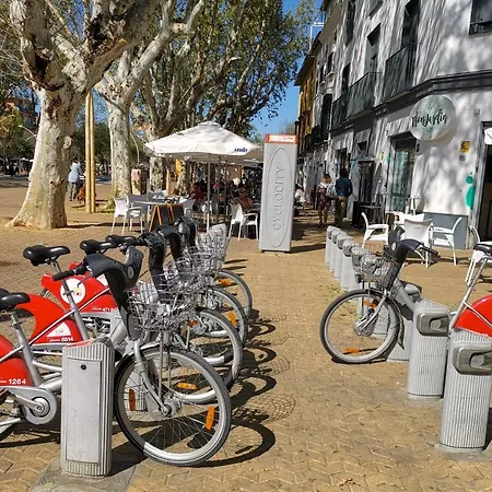 Teodosio Free Parking & Ac Seville