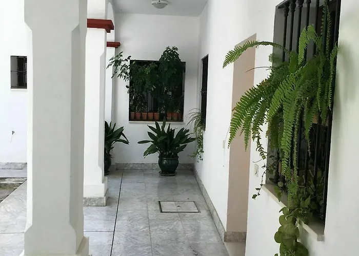 Teodosio Free Parking & Ac Appartement *